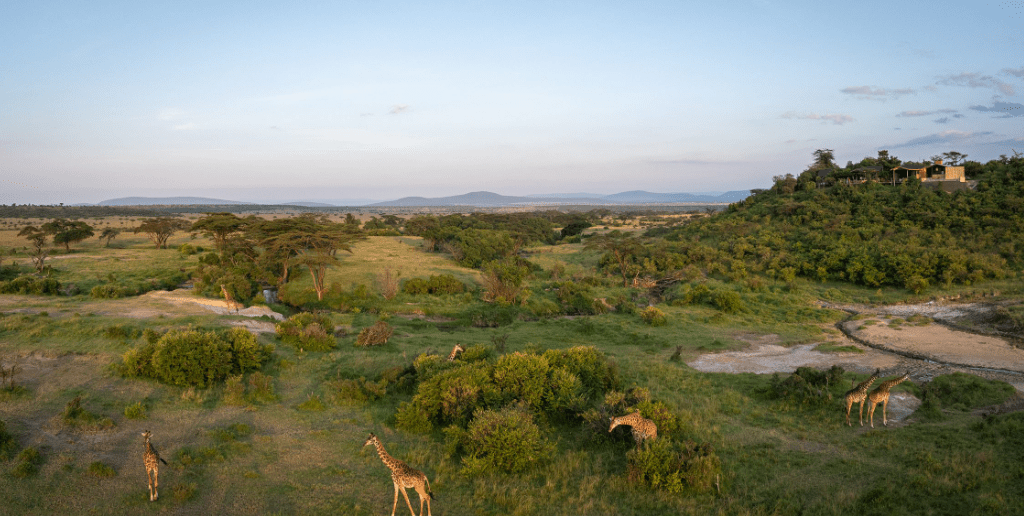 4-Day Masai Mara Flying-in Safari to Saruni Eagle View and Saruni Wild Camps