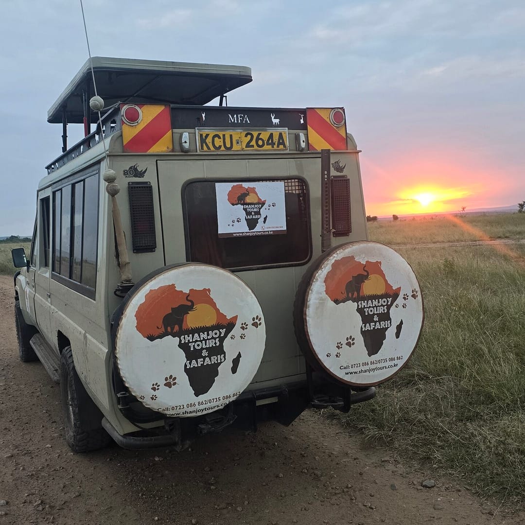 11-Day Kenya & Tanzania Wildlife Odyssey Safari