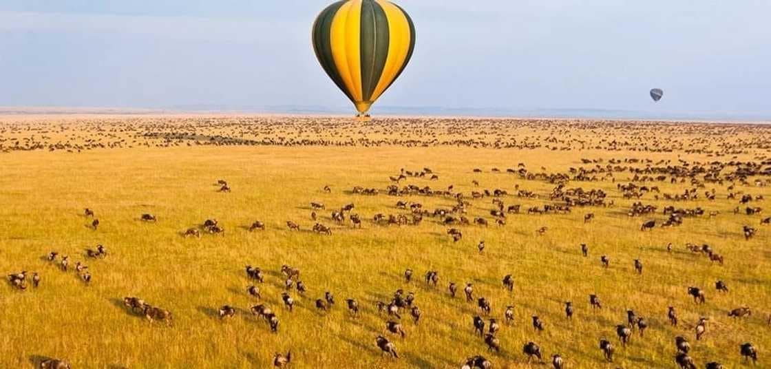 Top Travel Destinations to Explore in Kenya