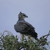 kenya vacation packages all inclusive