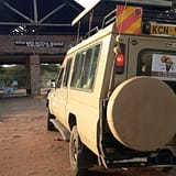 Shanjoy-Masai Mara National Park