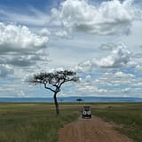 Game drive in Masai Mara