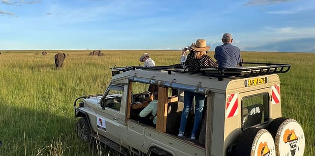Game drive in Masai Mara.