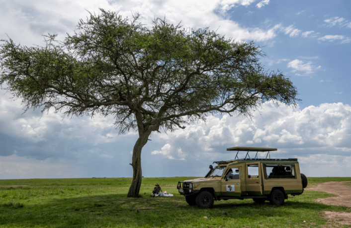 Ultimate Serengeti Safari Guide
