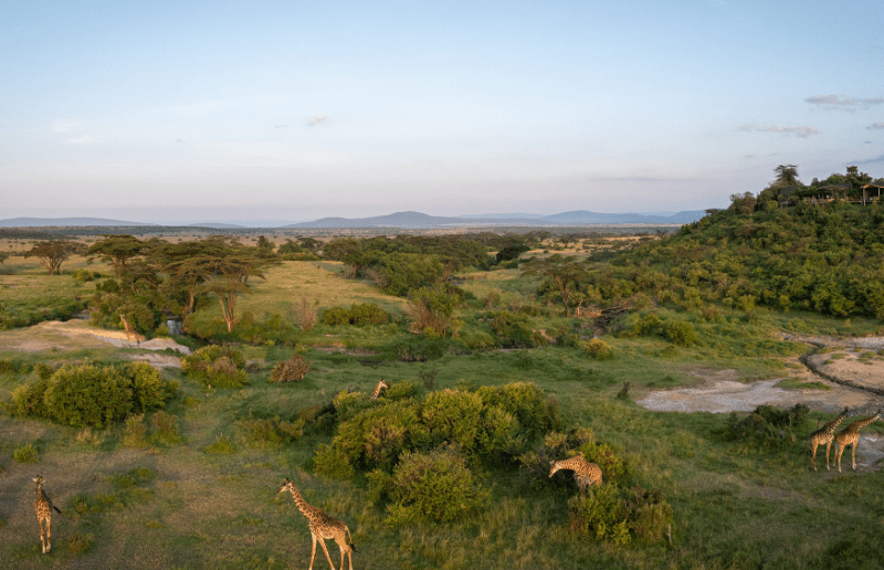 4-Day Masai Mara Flying-in Safari to Saruni Eagle View and Saruni Wild Camps
