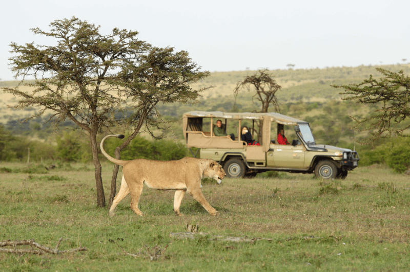 7 Days Kenya & Tanzania Group Joining Safari