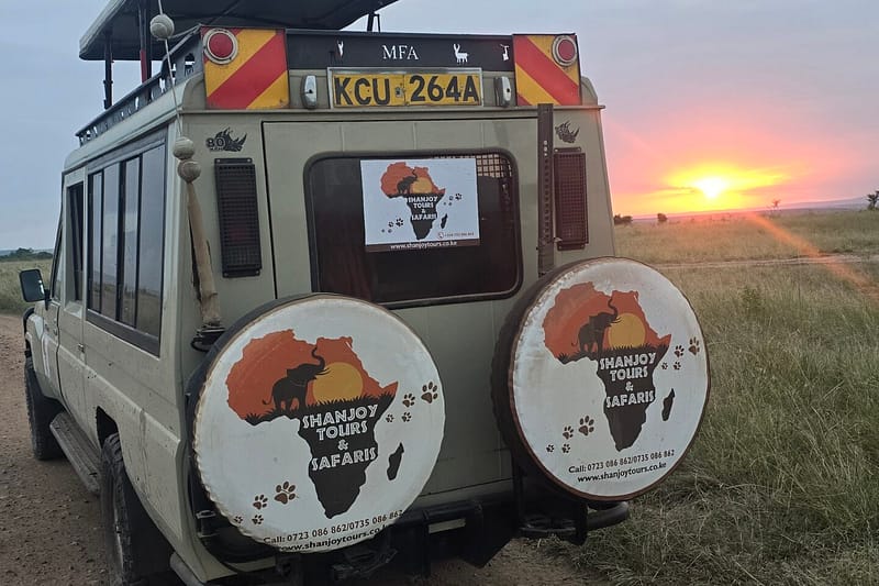 11-Day Kenya & Tanzania Wildlife Odyssey Safari