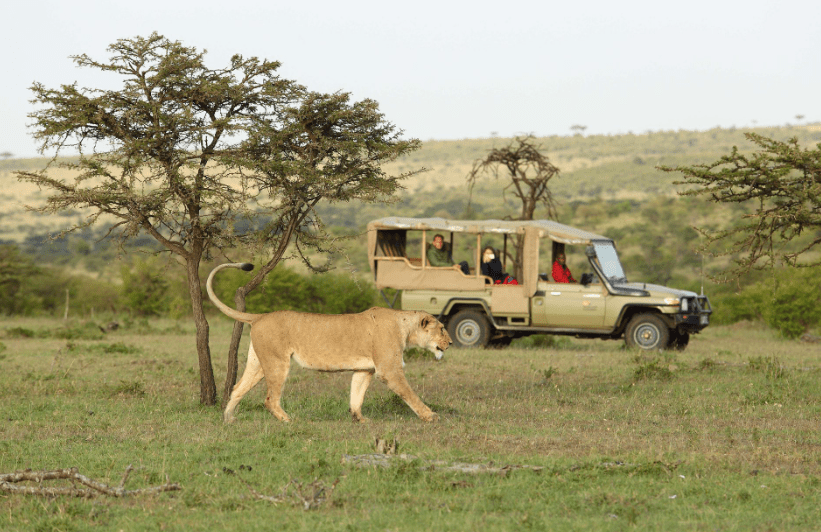 7-Days Kenya & Tanzania Group Joining Safari